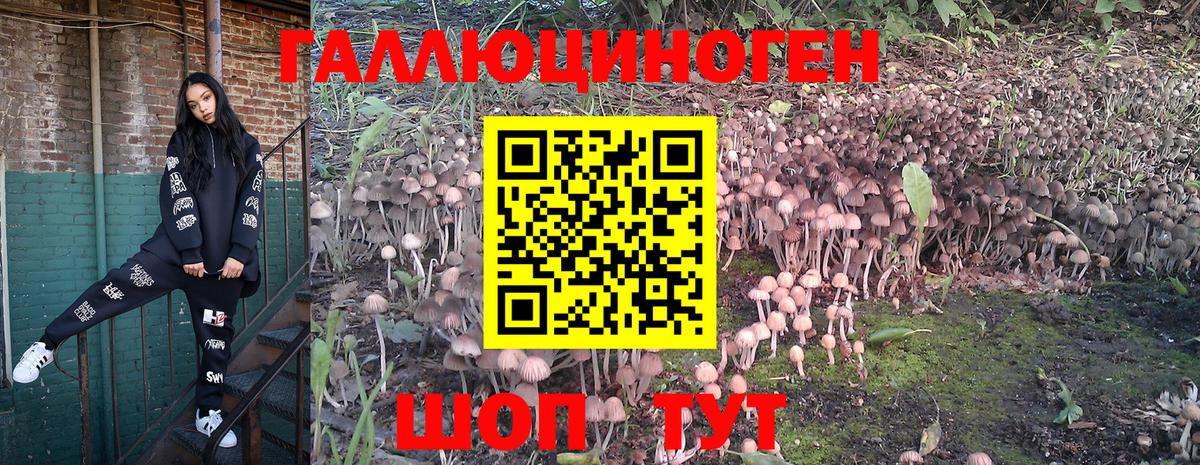 Псилоцибиновые грибы Magic Shrooms Южноуральск
